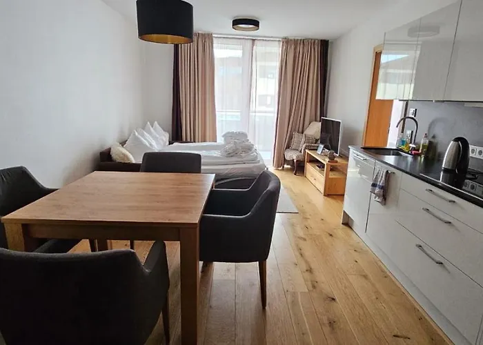 Modern Ski-In Appartement 2020M Kuehtai
